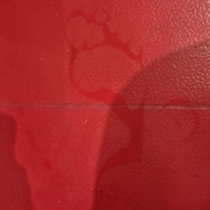Damp footprints on a red floor
